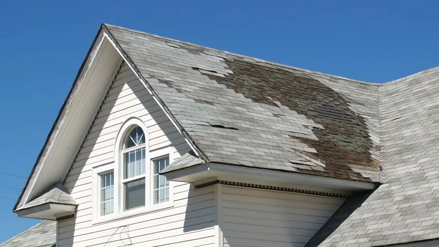 Insurance Payout for Roof Claims